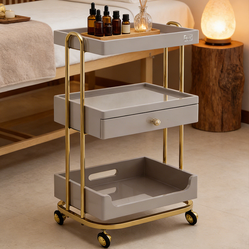 Professioneller Schönheitssalo – Beauty Makeup Trolley Bewertung und Preis
