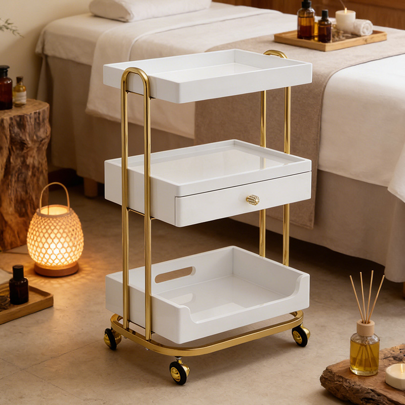 Professioneller Schönheitssalo – Beauty Makeup Trolley Bewertung und Preis